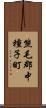 熊毛郡中種子町 Scroll