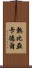熱比亞·卡德爾 Scroll