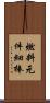 燃料元件細棒 Scroll