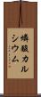燐酸カルシウム Scroll