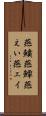 燕鱝 Scroll