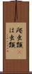 爬虫類(P) Scroll