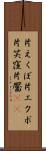 片えくぼ Scroll