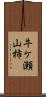 牛ケ瀬山柿 Scroll