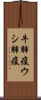 牛肺疫 Scroll