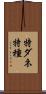 特ダネ Scroll