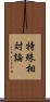 特殊相対論 Scroll