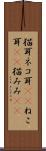 猫耳 Scroll