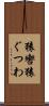 猿轡 Scroll