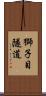 獅子目隧道 Scroll