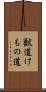 獣道 Scroll
