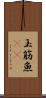 玉筋魚(rK) Scroll