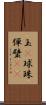 玉(P) Scroll