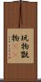 玩物 Scroll