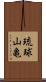 琉球山亀 Scroll