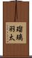瑠璃羽太 Scroll