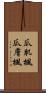 瓜肌楓 Scroll
