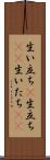 生い立ち(P) Scroll