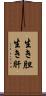 生き胆 Scroll