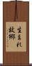 生まれ故郷 Scroll
