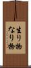 生り物 Scroll