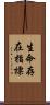 生命存在指標 Scroll