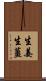 生姜 Scroll