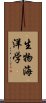 生物海洋学 Scroll