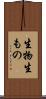 生物 Scroll