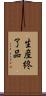 生産終了品 Scroll