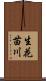 生花苗川 Scroll