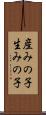 産みの子 Scroll