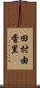 田村由香里 Scroll