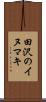 田沢のイヌマキ Scroll