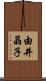 由井晶子 Scroll