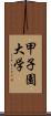 甲子園大学 Scroll