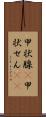 甲状腺(P) Scroll