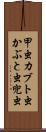 甲虫 Scroll