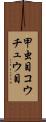 甲虫目 Scroll
