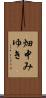 畑中みゆき Scroll