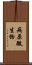 病原微生物 Scroll