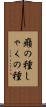 癪の種 Scroll