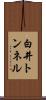 白井トンネル Scroll