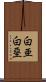 白亜 Scroll