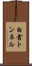 白倉トンネル Scroll