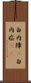 白内障(P) Scroll