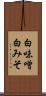 白味噌 Scroll