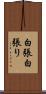 白張 Scroll