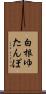 白根ゆたんぽ Scroll