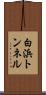 白浜トンネル Scroll